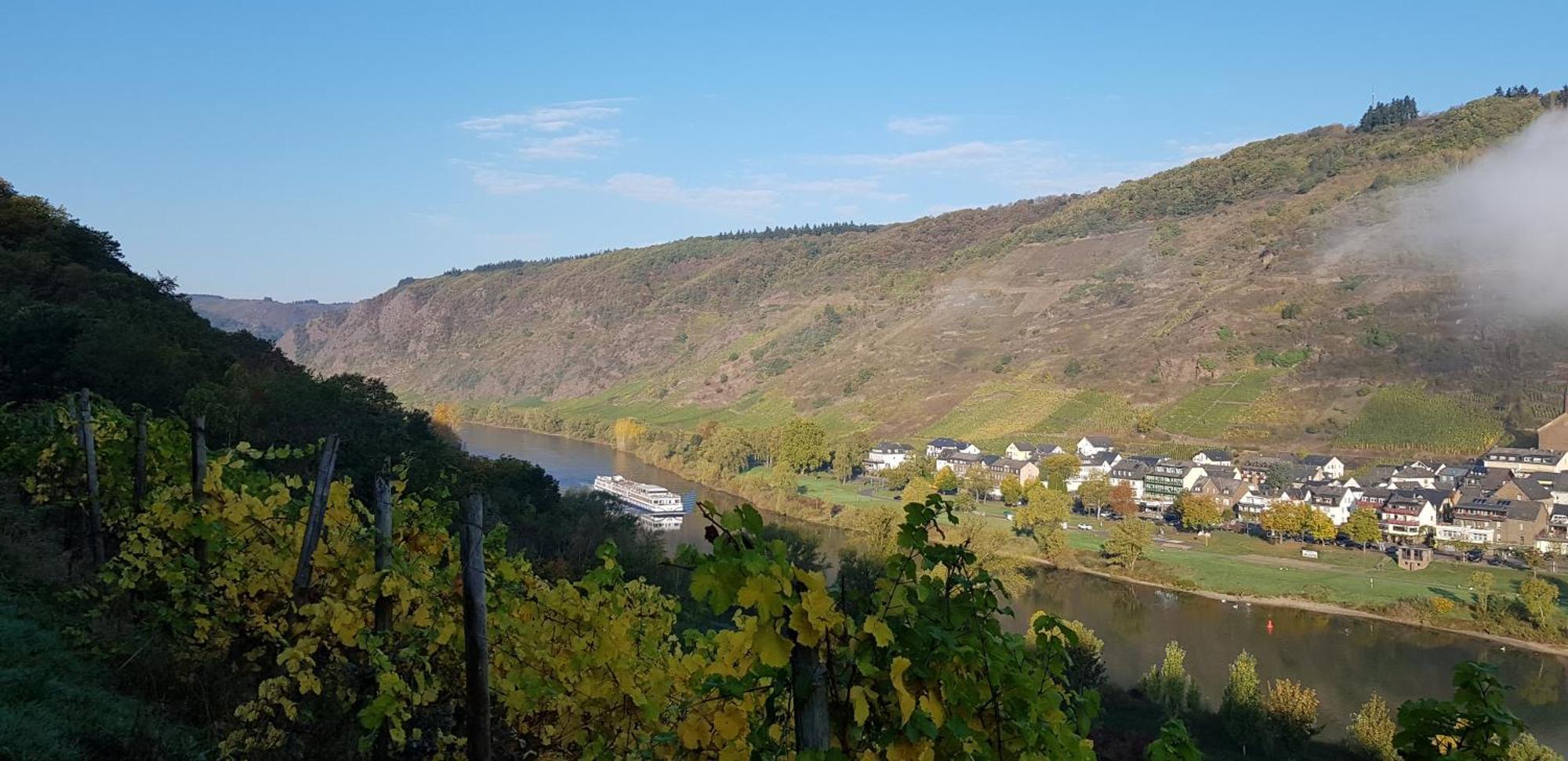 Weinhotel Sonnenschein Ernst Bagian luar foto