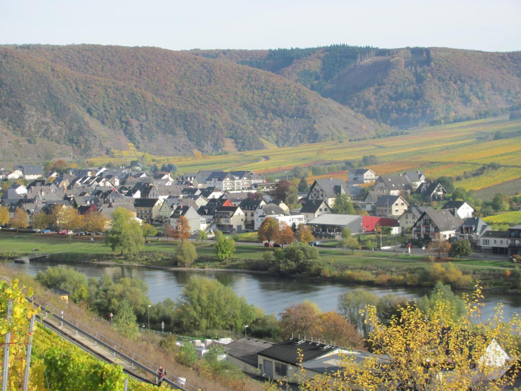 Weinhotel Sonnenschein Ernst Bagian luar foto